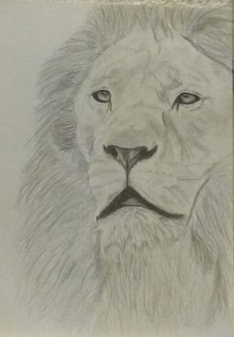 lion